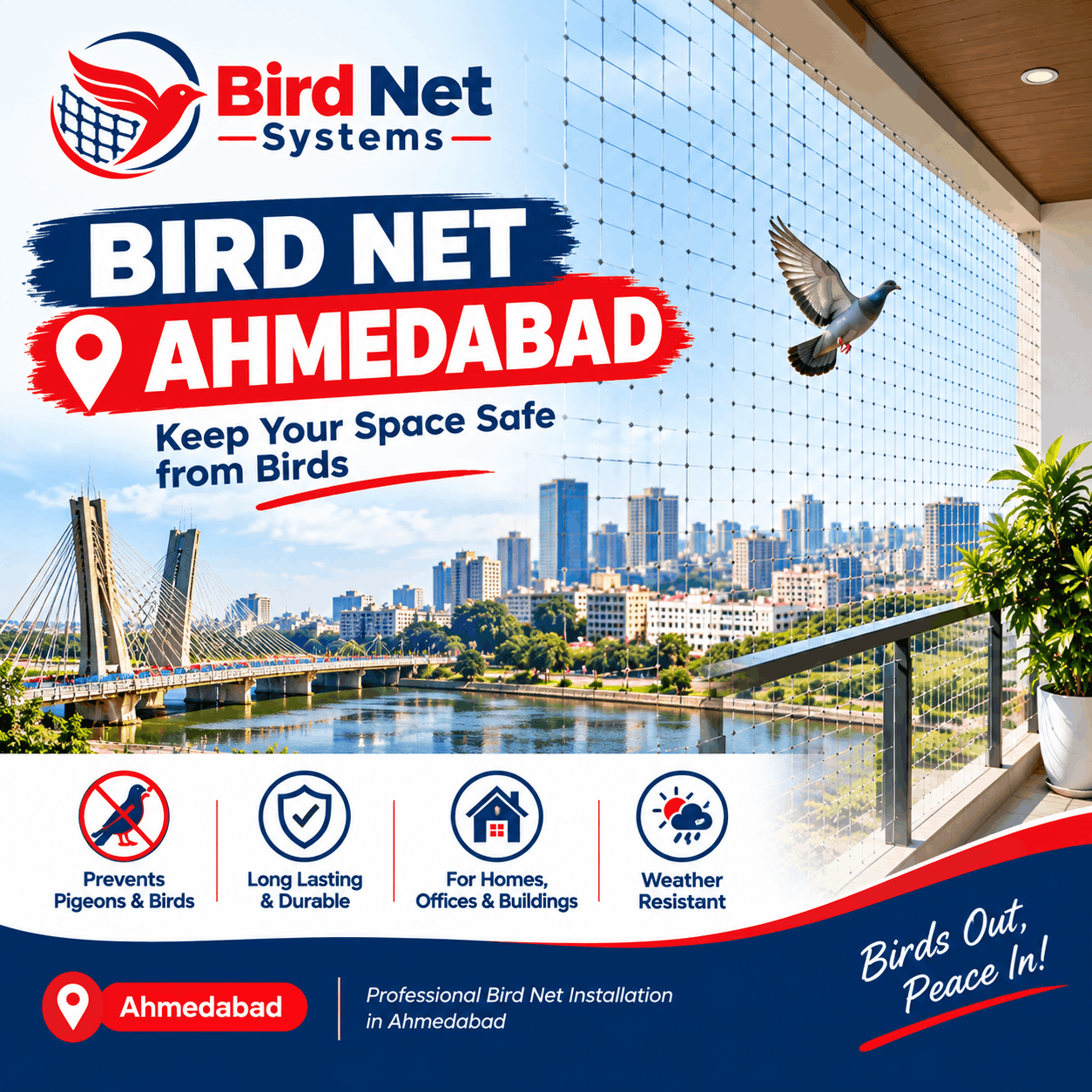 Pigeon net installation Ahmedabad